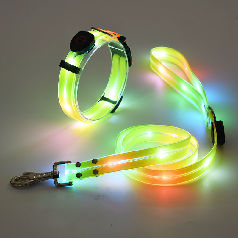 Luminous LED dog collar with belt - Nightbright
