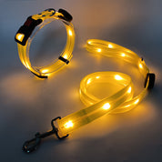 Luminous LED dog collar with belt - Nightbright