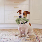 Soft cuddly in pets (1+1 free) - Dinopal