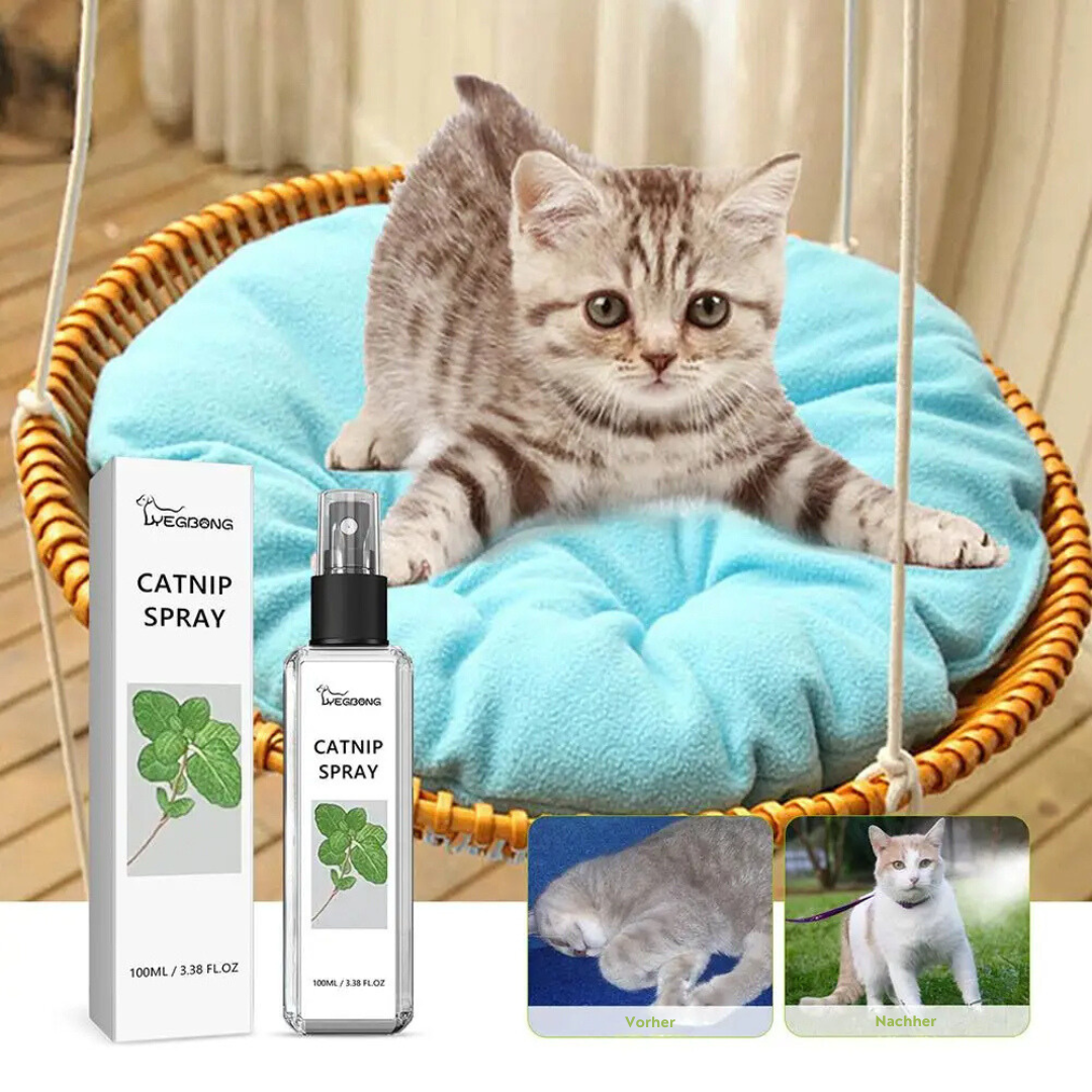 Resting cat spray - Silvervine Bliss Spray