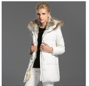 https://cdn.shopify.com/s/files/1/0822/2661/0521/files/QQ_1738915720532.png?v=1739274361
