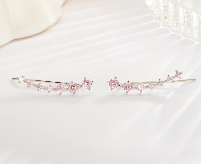 Lustre | Shiny Silver Earrings