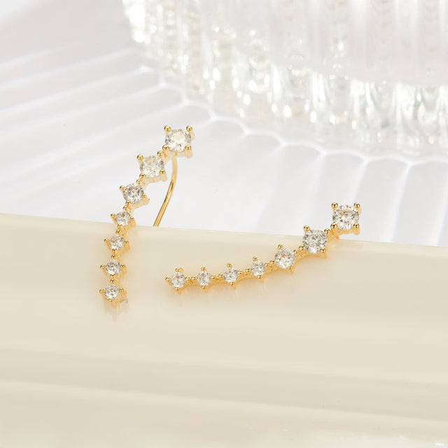 Lustre | Shiny Silver Earrings