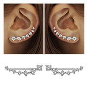 Lustre | Shiny Silver Earrings