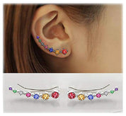 Lustre | Shiny Silver Earrings
