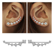Lustre | Shiny Silver Earrings
