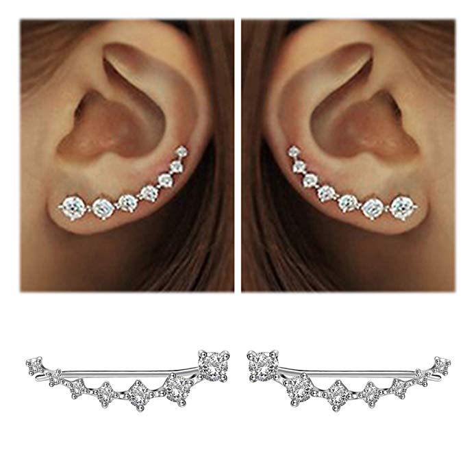 Lustre | Shiny Silver Earrings