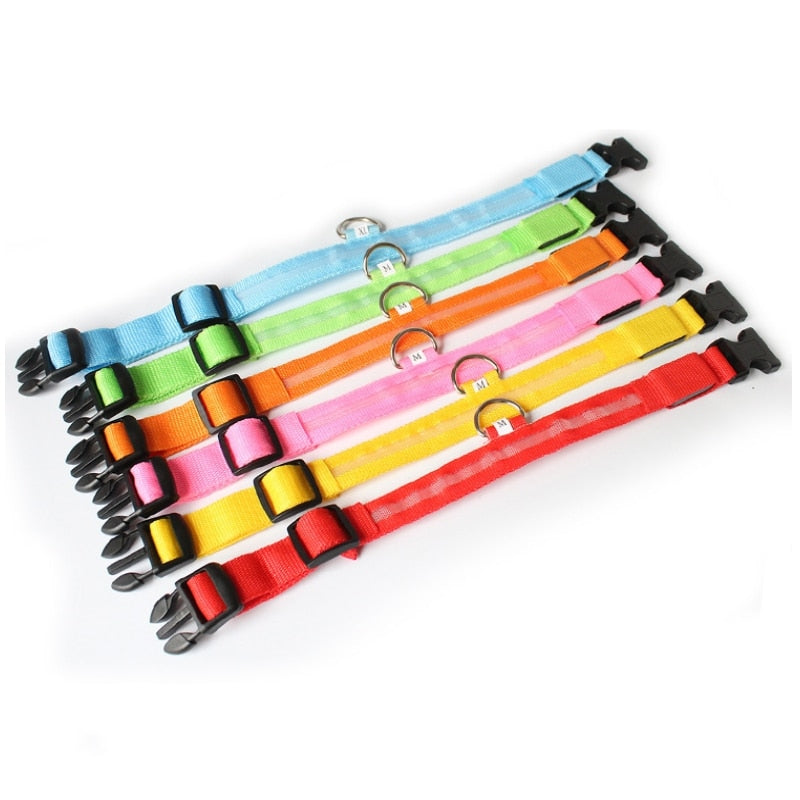Dog collar with LED lighting - GlowCollar