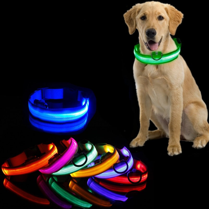 Dog collar with LED lighting - GlowCollar
