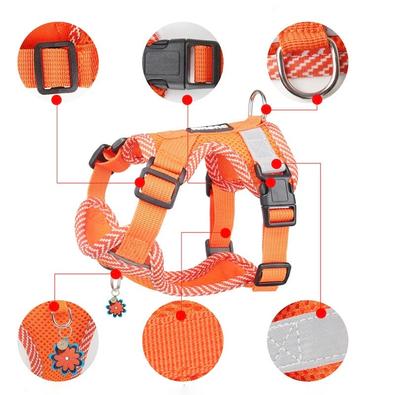 Reflecting harness and belt set for small dogs - Airflex