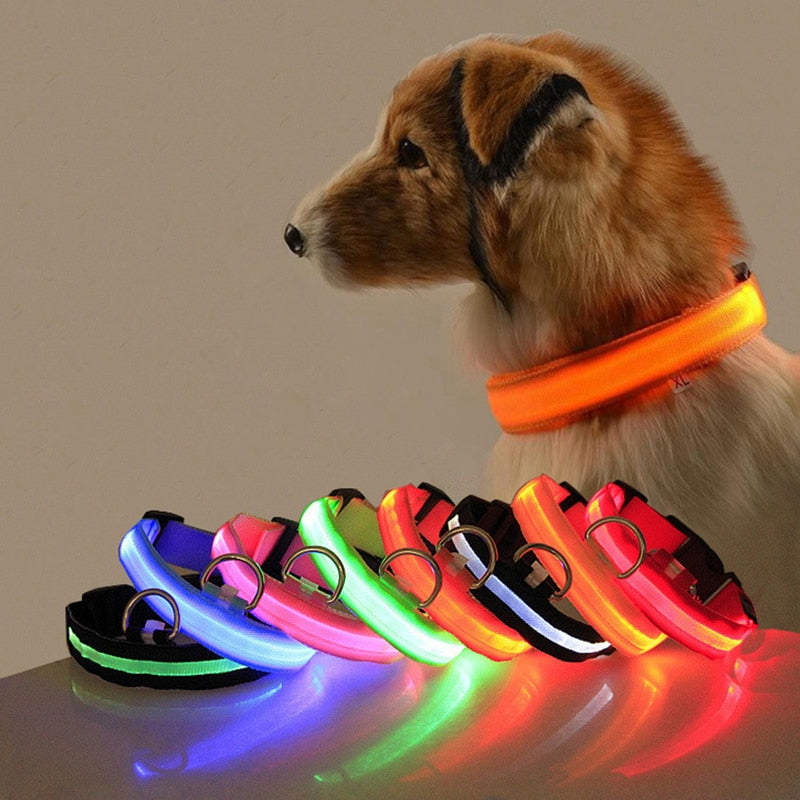 Dog collar with LED lighting - GlowCollar