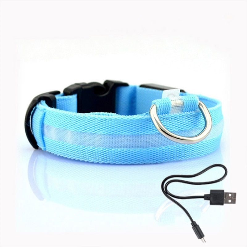 Dog collar with LED lighting - GlowCollar