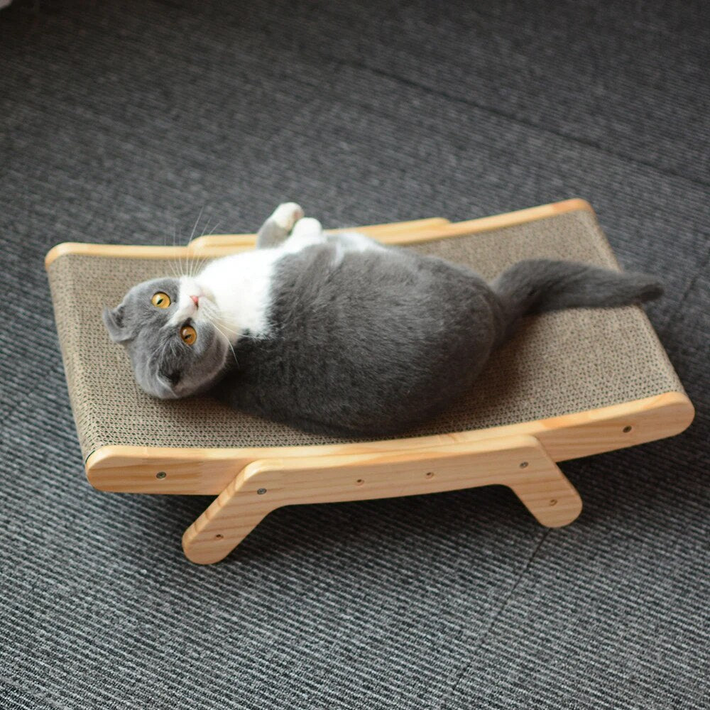 Cats Krabbed - Luna