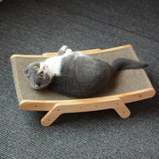 Cats Krabbed - Luna