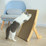 Cats Krabbed - Luna
