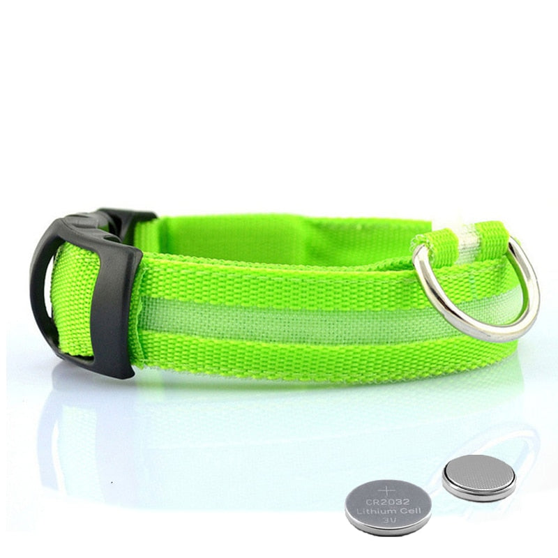 Dog collar with LED lighting - GlowCollar