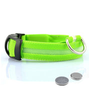 Dog collar with LED lighting - GlowCollar