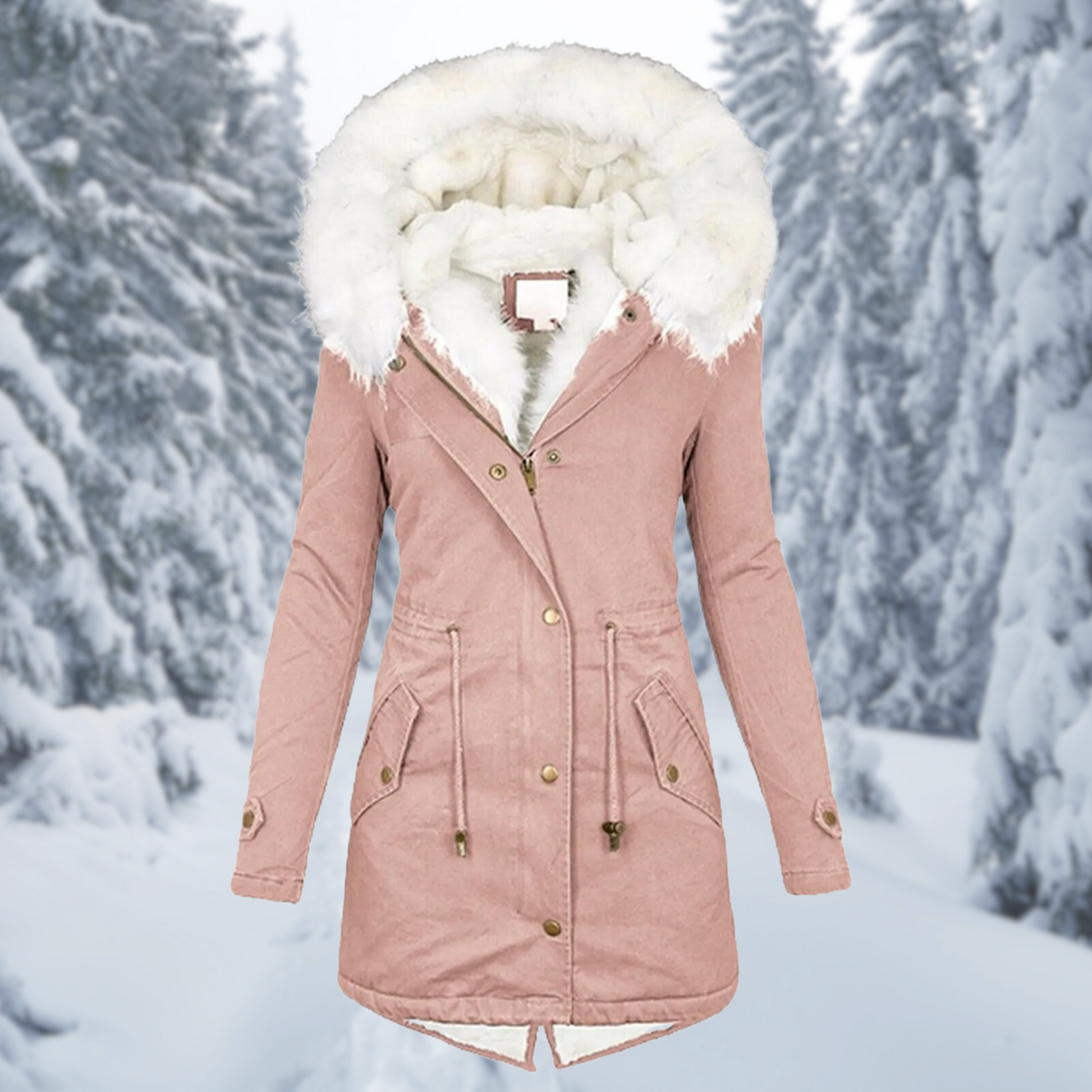 KATH | Stylish Hooded Cotton Padded Coat for Women
