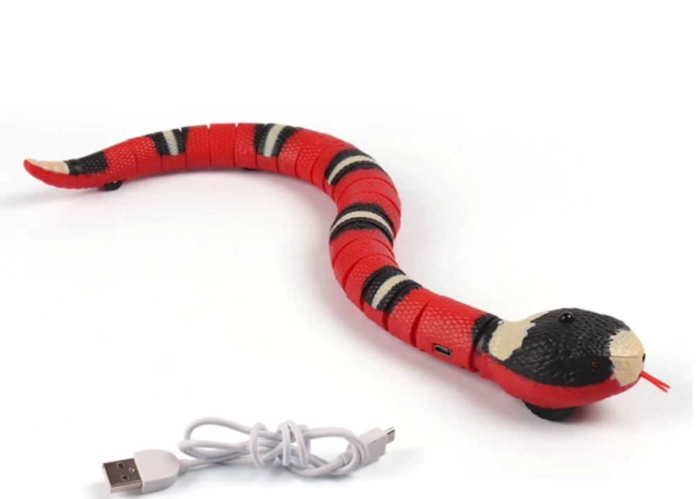 Cats Hunting Play - Slitherplay