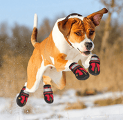 PawGuard | Anti-Slip Dog Boots