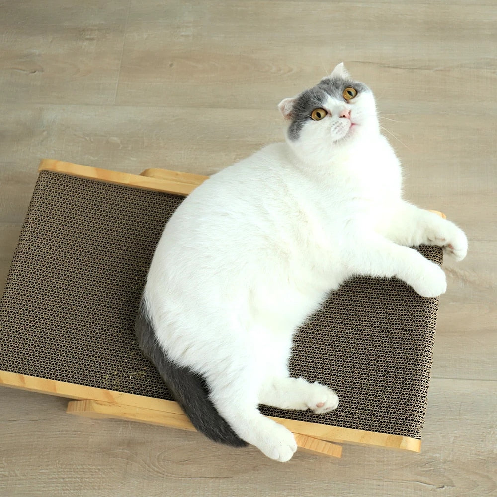 Cats Krabbed - Luna