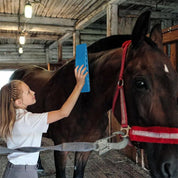6-in-1 horse care brush-Equiglow