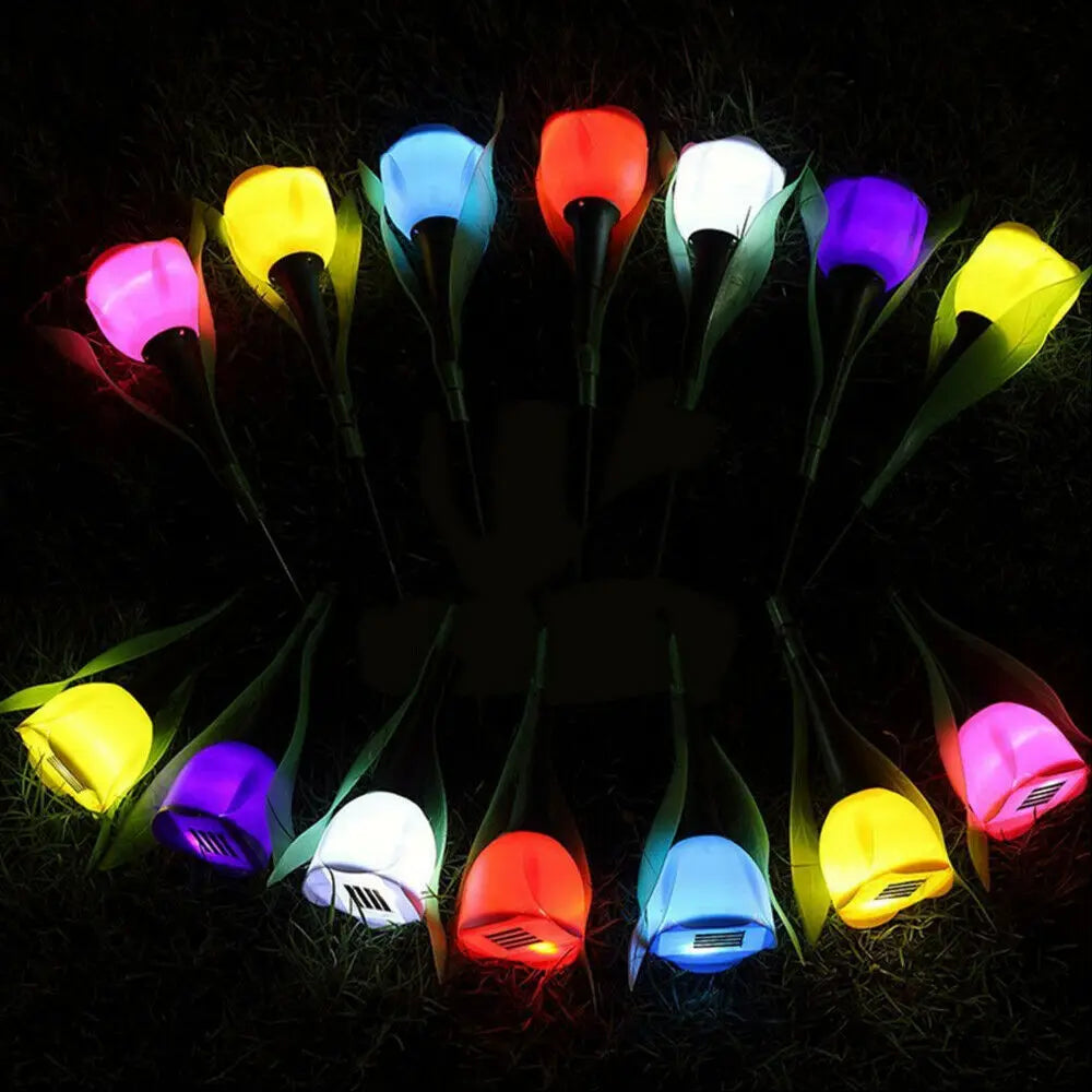 BloomBeam - Solar Tulip Flower Lights-3