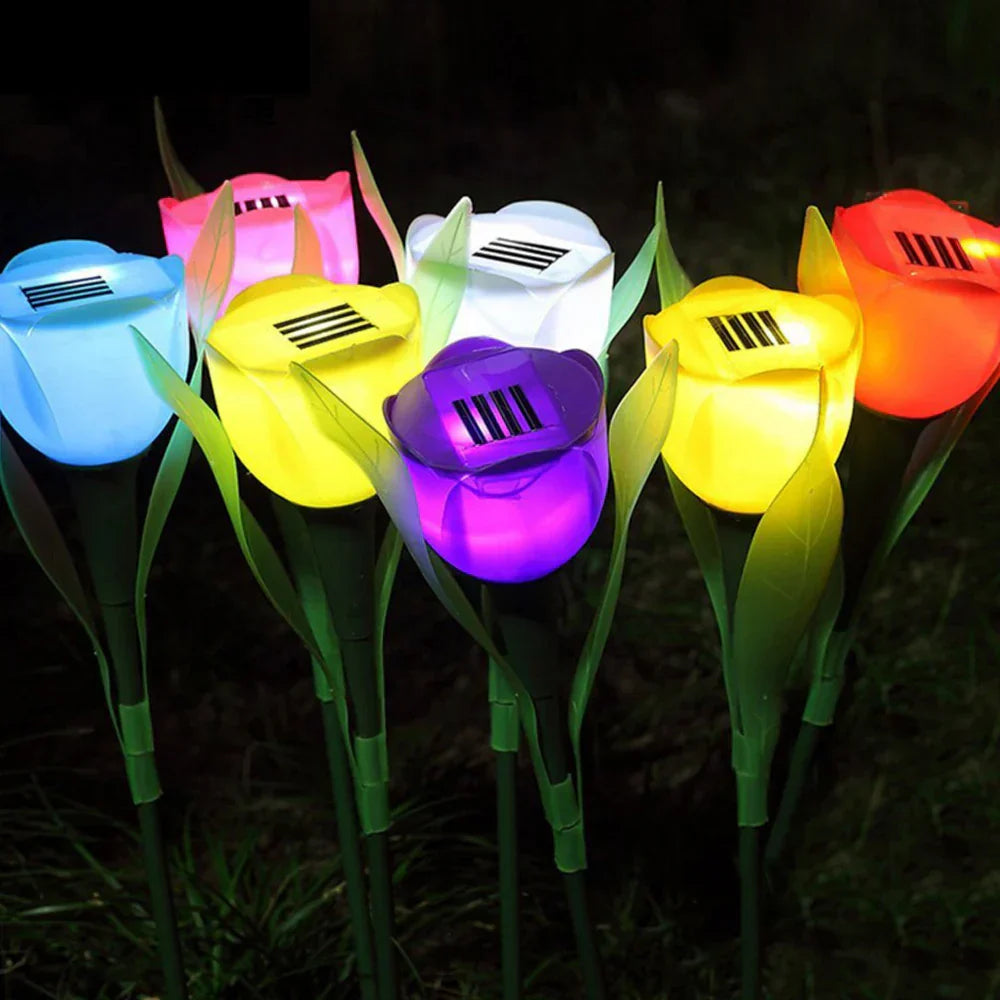 BloomBeam - Solar Tulip Flower Lights-5