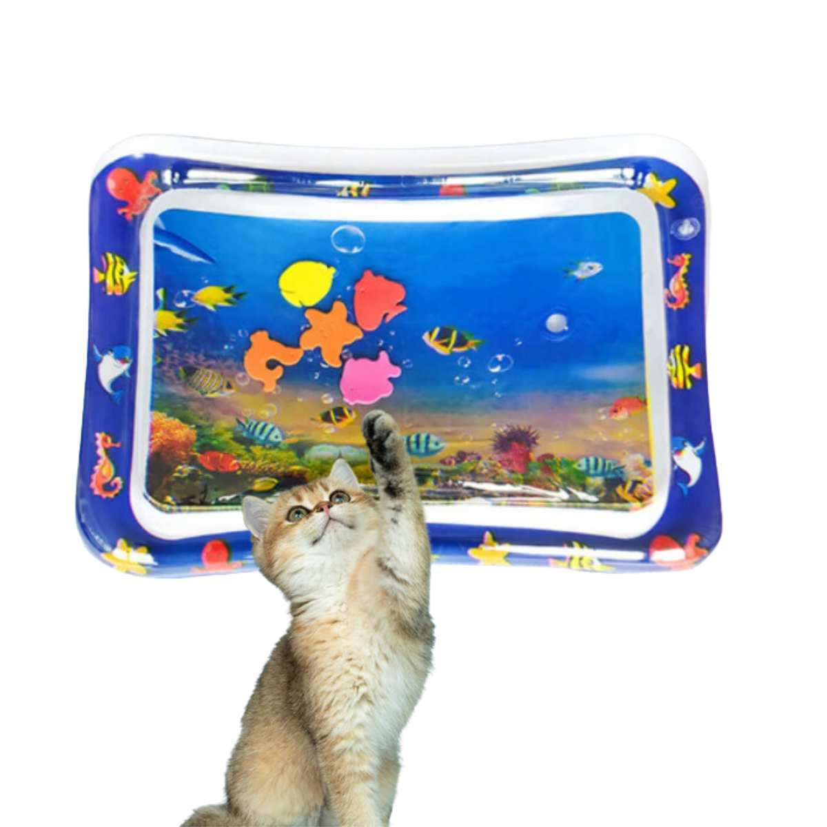 Untitled_design_51_92f3c9b5-911d-41c2-a467-52f7f4a67788.png