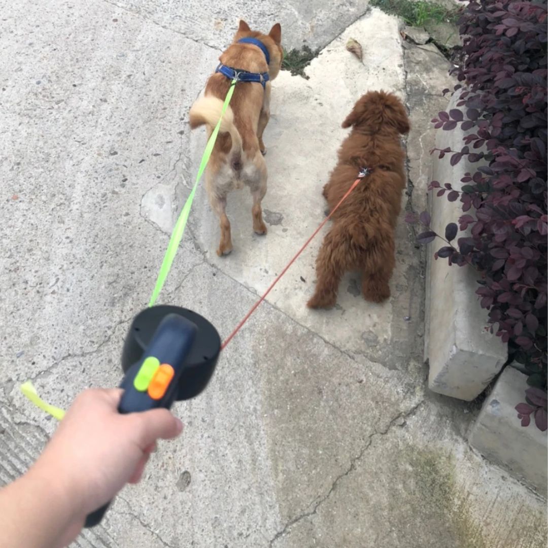 Double pull -out dog leash With flashlight and holder for dog poop bags