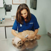 SafePaws | Safe Pet Nail Clipper with Quick-Sensing Technology