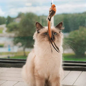 Interactive cat toy - Flutter friend