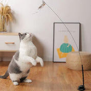Interactive cat toy - Flutter friend