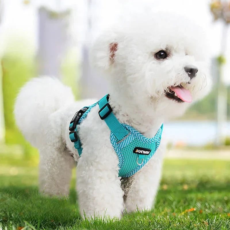 Zomer-Puppy-Hondentuig-En-Riem-Set-Mesh-Ademende-Huisdieren-Harnassen-Voor-Kleine-Honden-Pommeren-York-Wandelbenodigdheden_jpg.webp