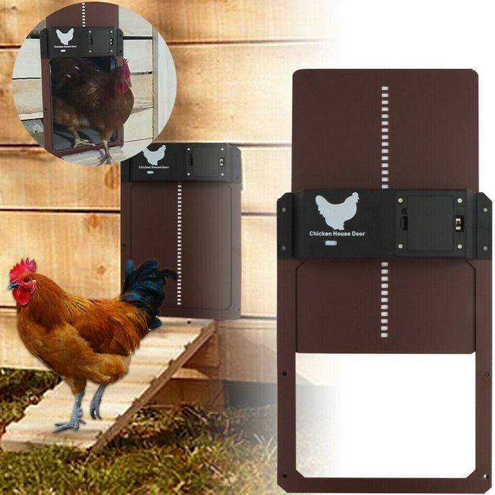 Automatic chicken coop door system - Safecoop