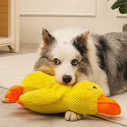 Interactive dog toy with sound & tooth cleaning - Flappyduck