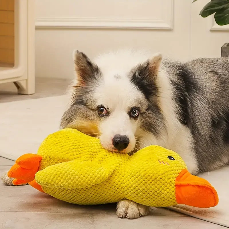 Interactive dog toy with sound & tooth cleaning - Flappyduck