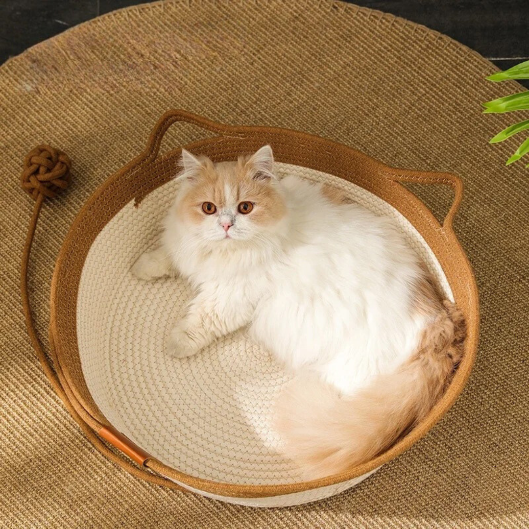 Hand -woven cotton rope bed for cats - Cozynest