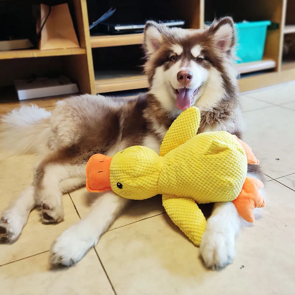 Interactive dog toy with sound & tooth cleaning - Flappyduck