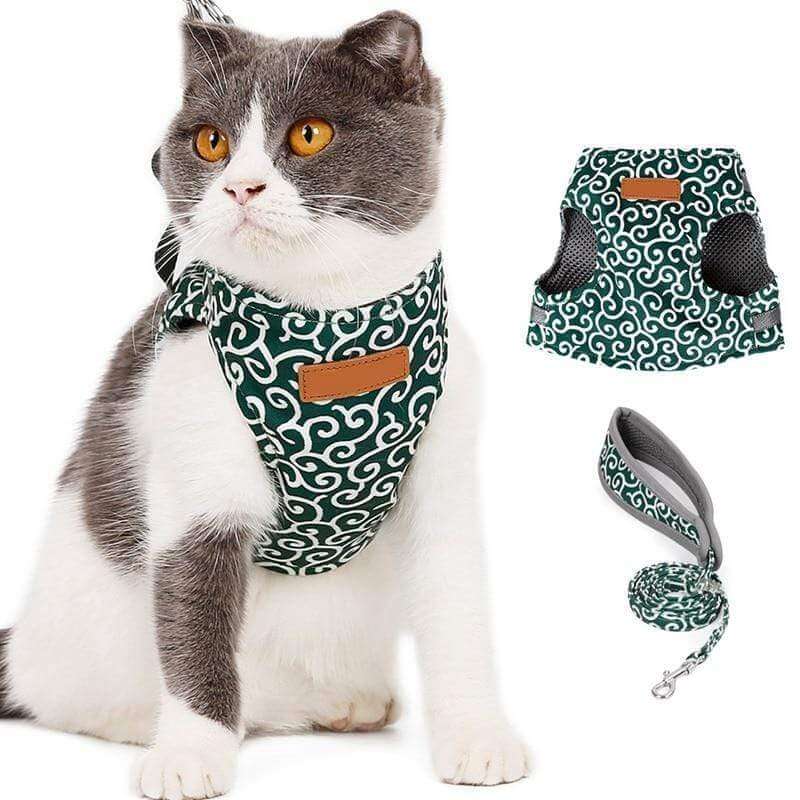 Cat vest Harnas Set