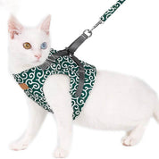 Cat vest Harnas Set