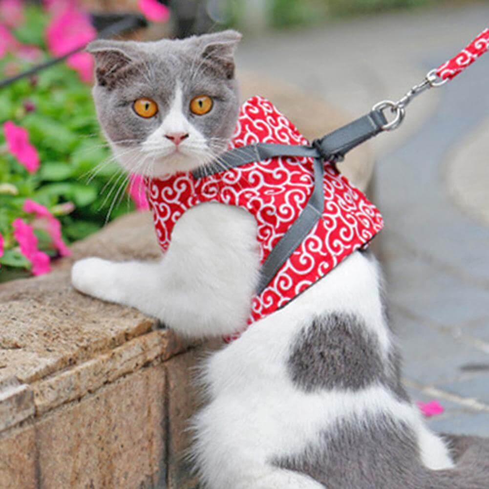 Cat vest Harnas Set