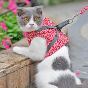 Cat vest Harnas Set