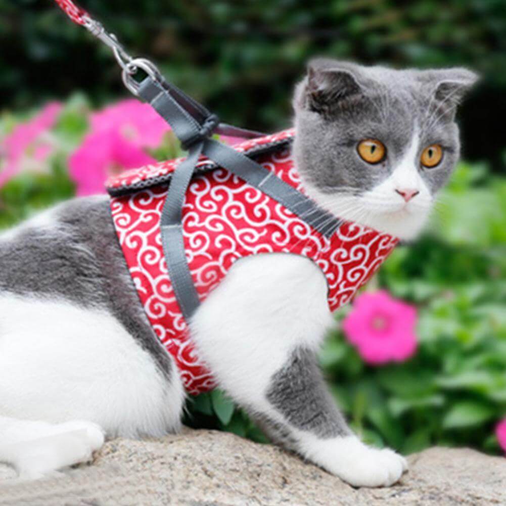 Cat vest Harnas Set