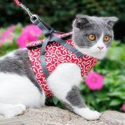 Cat vest Harnas Set