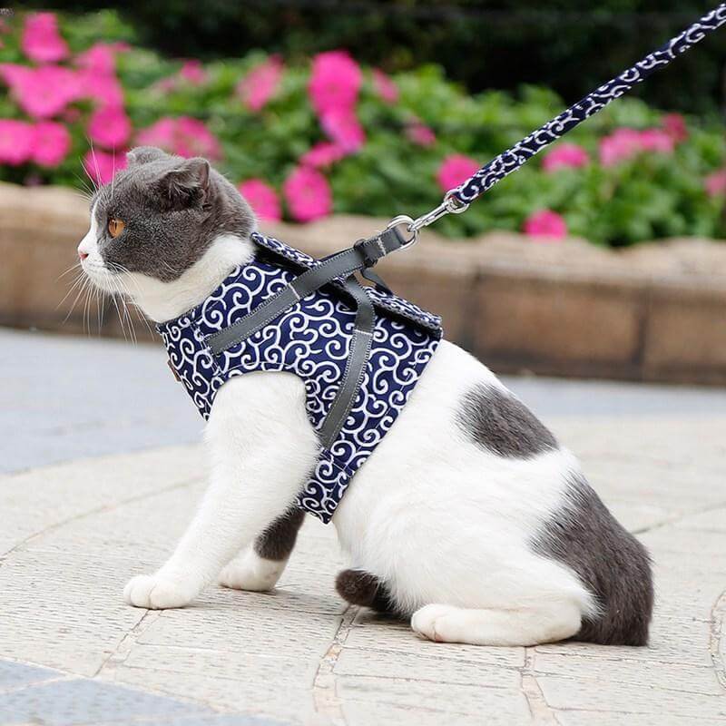 Cat vest Harnas Set