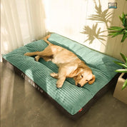 Orthopedic dog cushion with removable cover - Snugglerest