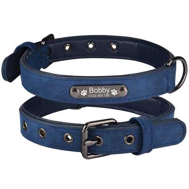Personalized dog collar