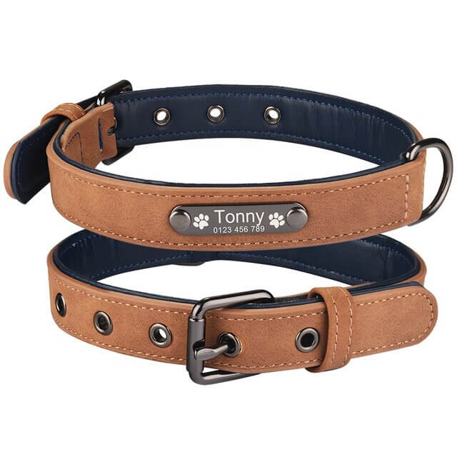 Personalized dog collar