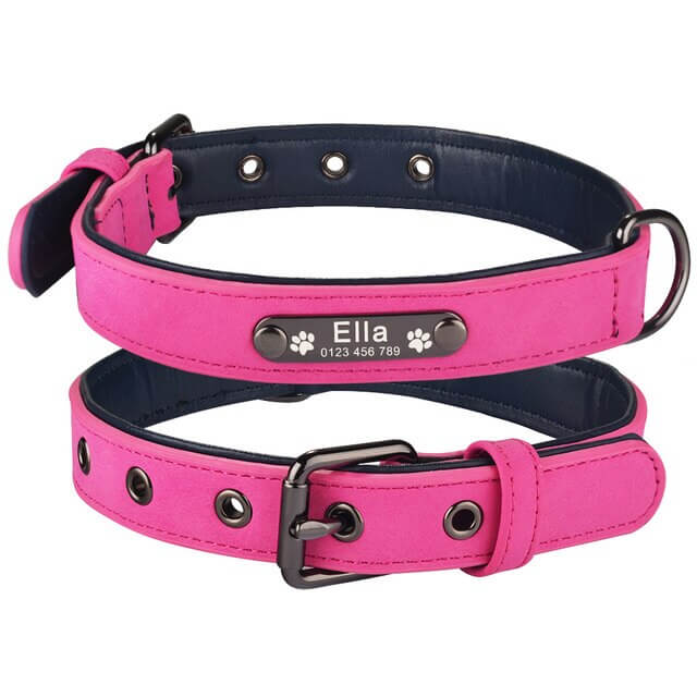 dog-collar-8.jpg